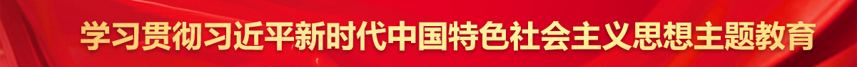 学习贯彻习近平新时代中国特色社会主义思想主题教育